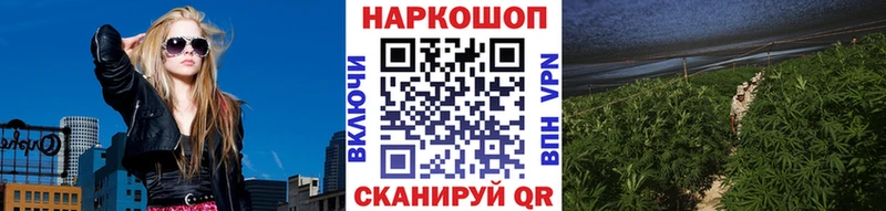 Купить закладку ГАШ  A-PVP  Мефедрон  Конопля  Приморск