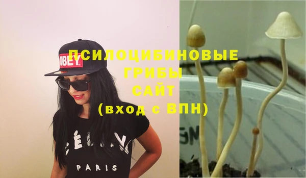 прущая мука Саяногорск
