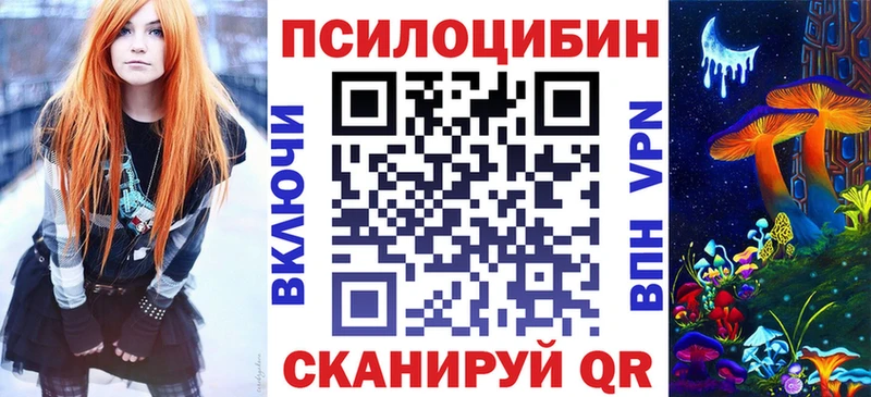 Купить где  Приморск  Галлюциногенные грибы GOLDEN TEACHER 
