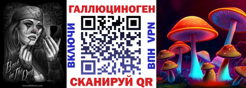 Псилоцибиновые грибы Psilocybe Приморск