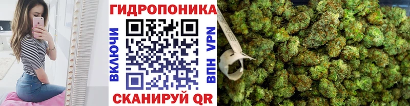 Купить закладки  Приморск  Конопля LSD WEED 